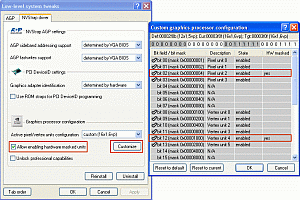 Forceware Clock Frequency tab